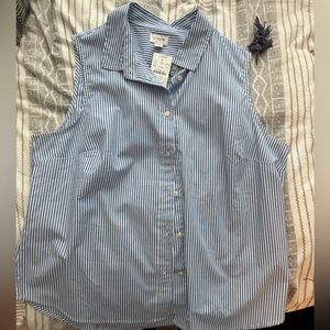 J. Crew Blue and White Striped Top